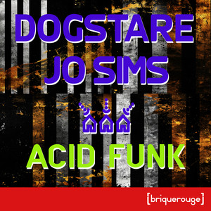 Dogstare - Acid Funk (LnS Acid 303 Mix)