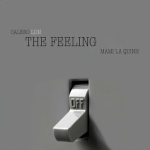 The Feeling (Explicit)