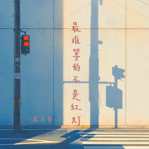 苏小夜 - 最难等的不是红灯 (DJ豪大大版)