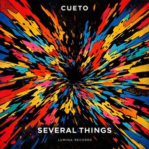 Several Things (Original Mix)