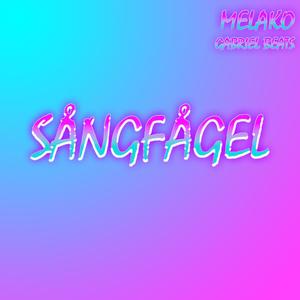 Sångfågel (Explicit)