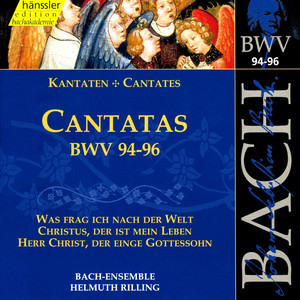 Was frag ich nach der Welt, BWV 94 - Aria: Betorte Welt, betorte Welt! (Alto)