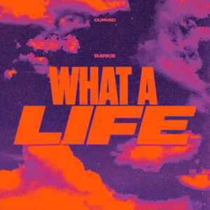 What a Life (Explicit)