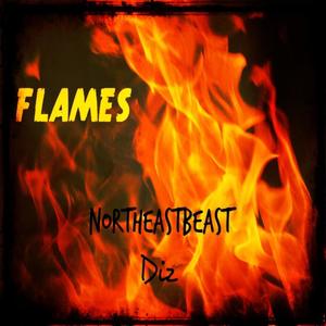 Flames (feat. Diz) (Explicit)