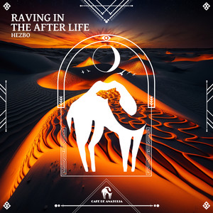 Raving in the Afterlife (Radio Edit)
