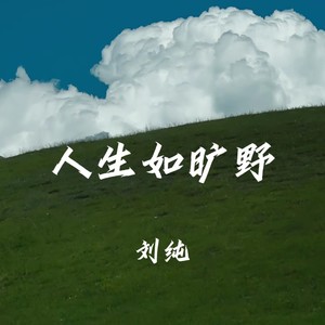 人生如旷野-刘纯&DJ先森