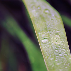 裹着心的光 (Live)