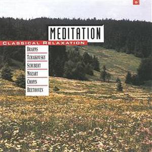 Brandenburg Concerto No. 2, Andante