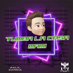 Kalil Garcia ✘ Tumba La Casa Mami (Panther Rmx)