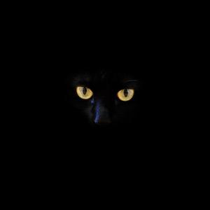 Holiday Mix (feat. Roy Ayers & Terri Wells)