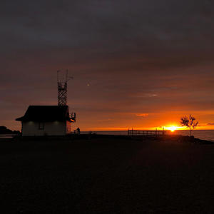 Live and Love (feat. Social Proof & P.O.W.T.F) (Live)