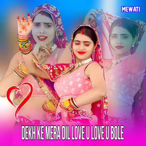 Dekh Ke Mera Dil Love U Love U Bole