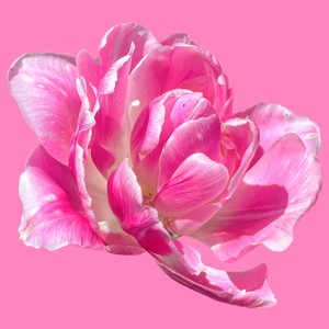 Lullaby (Alt. Take) [feat. Tristan De Liege]