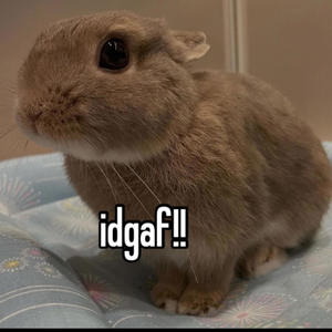 Bunny Rabbit CEO (Explicit)