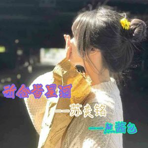 苏奕铭 - 热爱山海