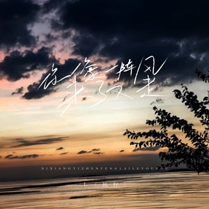 你像一阵风来了又走