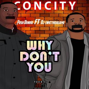 Why Don't You (feat. DJ Switchthagame) [Explicit]