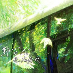 野百合也有春天 (空灵纯享版)