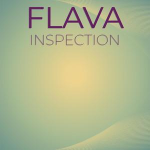 Flava Inspection