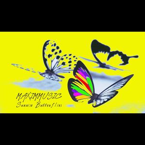 Sunrise Butterflies