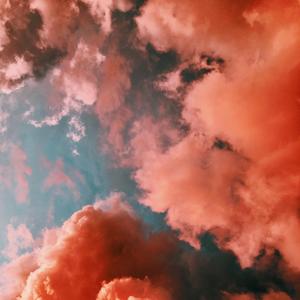 Lost In The Algorithm