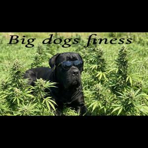 Let Go (feat. Ruga Da Reaper) (Explicit)