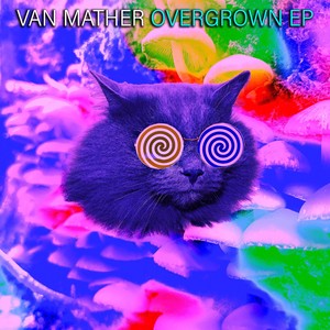Overgrown (Original Mix)