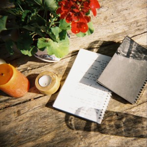 Els Geranis De Casa Meva