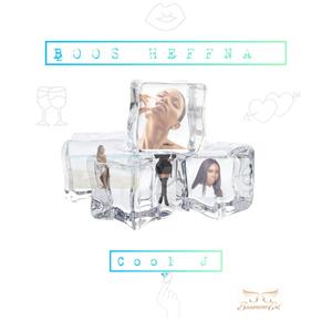 Cool J (Radio Edit|Explicit)