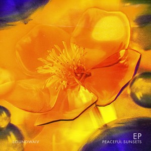 peaceful sunsets (Reverbed Version)