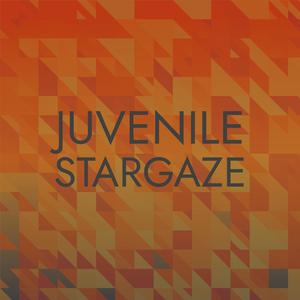 Juvenile Stargaze