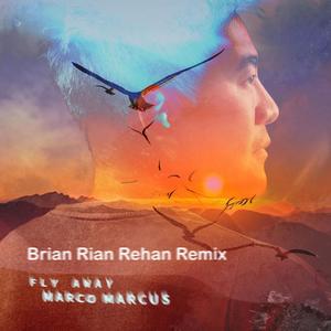 Fly Away (Remix)