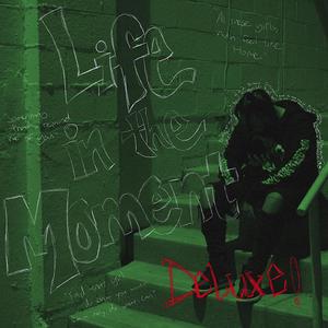 Life in the moment DELUXE (Explicit)