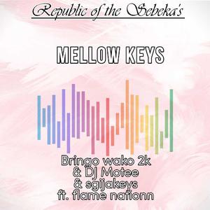 Mellow keys (feat. flame nationn & DajiggySA)
