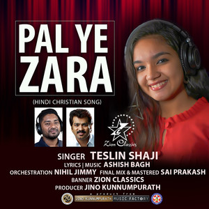 Pal Ye Zara - Single