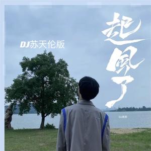 起风了 (DJ苏天伦版)封面