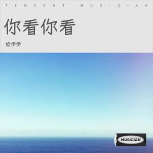 你看你看月亮的脸cover