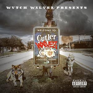 TOTAL CONTROL (feat. SWAGGER, Silence, CaRaSi & Money Mogly) (Explicit)