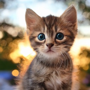 Siestas Entre Las Horas