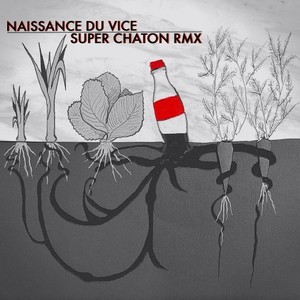 Naissance du vice (Super Chaton RMX)