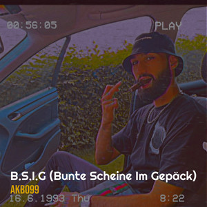 B.S.I.G (Bunte Scheine Im Gepäck) (Explicit)