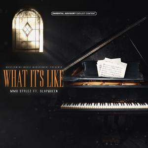What It's Like(feat. SlapQueen) (Explicit)