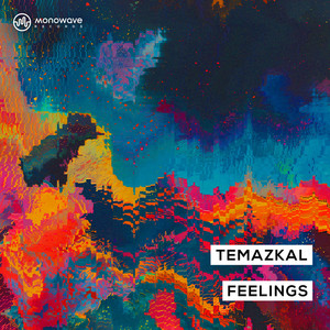 Temazkal - Feelings (Extended Mix)