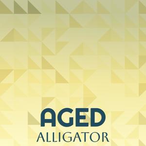Aged Alligator