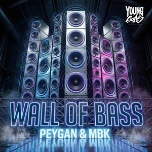 WALL OF BASS