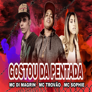 Gostou Da Pentada (Explicit)