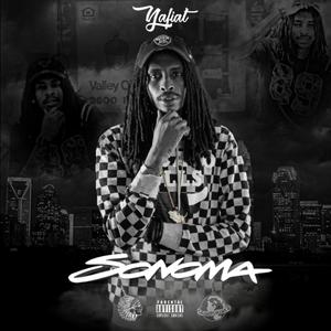 Passed Out (feat. TED) (Explicit)