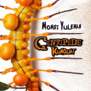 Centipede Kumquat