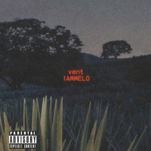 Vent (Explicit)