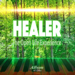 Healer (The Open Life Experience)